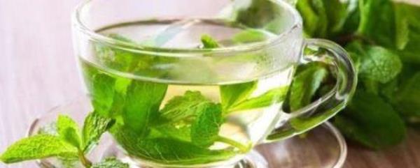 What are the benefits of mint tea?