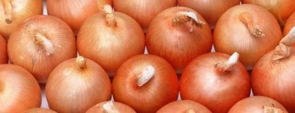 Onions are rich in nutrients. Four kinds of onion recipes at home.