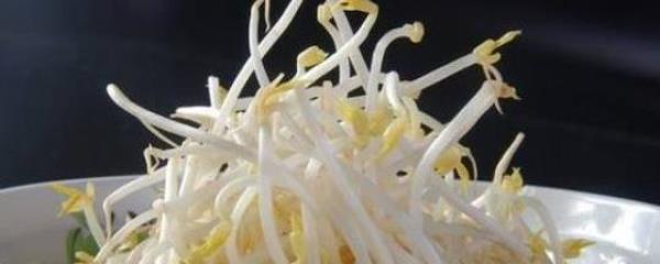 What is the nutrition of mung bean sprouts?