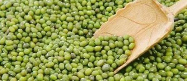 What are the functions of mung bean starch?