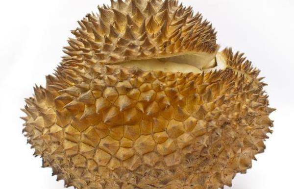 What are the benefits of eating durian? Durian efficacy and role and nutritional value�