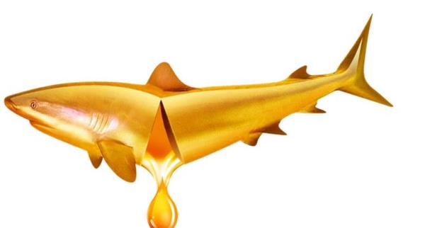 cod liver oil when to eat the best? efficacy and role of cod liver oil�