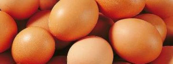 What are the nutritional value and nutritional ingredients of eggs�