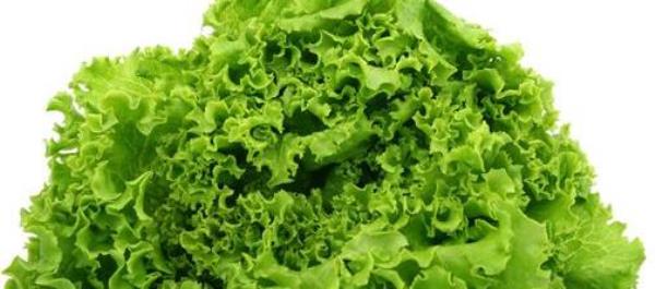 What are the benefits of eating lettuce? Nutritional value and efficacy of lettuce�