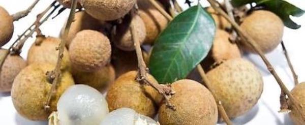 What are the benefits and nutrition of eating longan? Efficacy and role of longan meat�