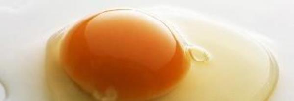What are the nutrients in eggs? Nutritional analysis of eggs�