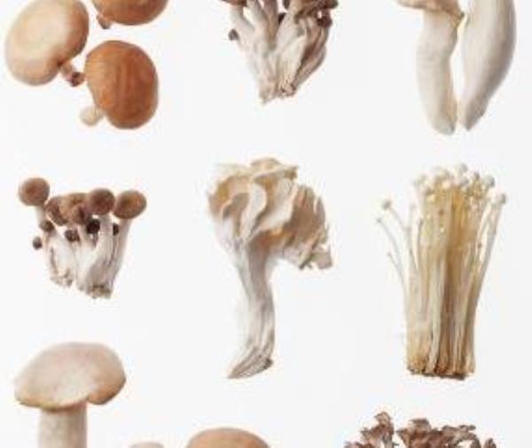 What are the benefits of eating mushrooms? Nutritional value of mushrooms�