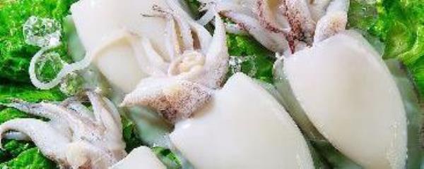 What are the benefits of eating cuttlefish? Nutritional value of cuttlefish�