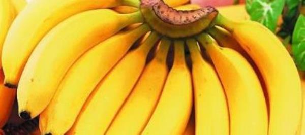 What are the benefits of eating bananas? What are the benefits and effects of bananas�