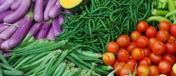 Vegetables mainly provide people with what nutrition�