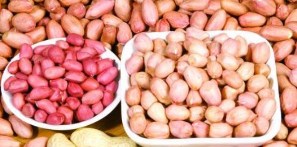 Can peanut skins be eaten? About eating peanuts with skins�