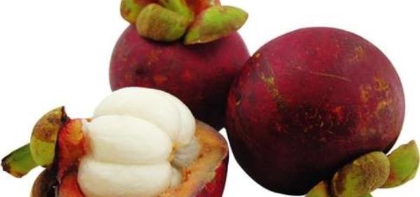 What are the benefits of eating mangosteen? The efficacy and role of mangosteen and nutrition�