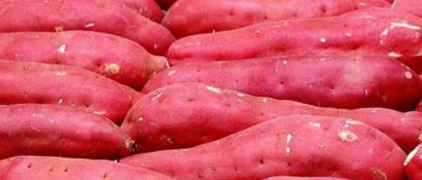 What are the benefits of eating sweet potatoes? The nutritional value of sweet potatoes�