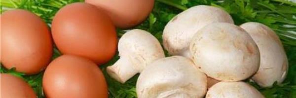 Can scrambled eggs kill bacteria on eggshells?