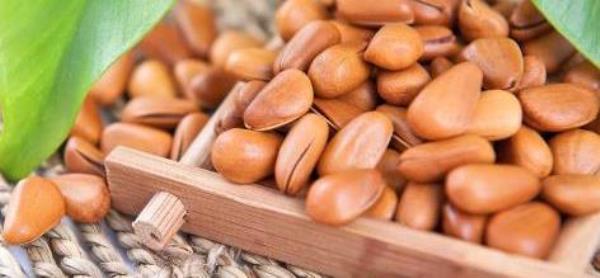 What are the benefits of eating pine nuts? Nutritional value, efficacy and functions of pine nuts
