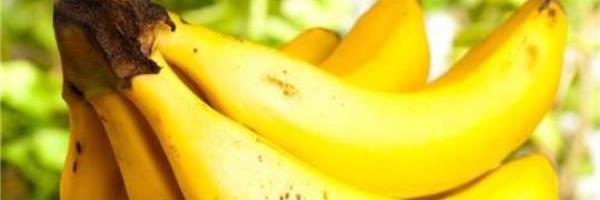What to do if the raw banana is not ripe?
