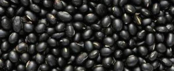 The efficacy and function of black beans and how to consume them