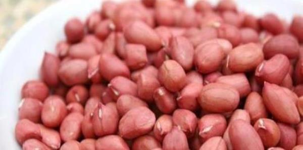 What is the function of peanut red skin?