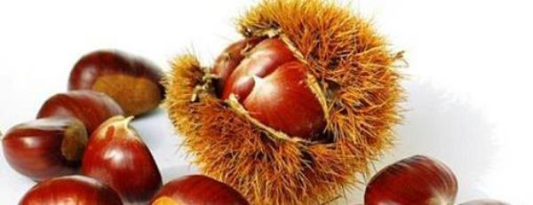 How to preserve chestnuts? How to make chestnuts