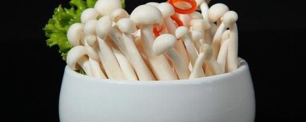 Benefits of eating white jade mushrooms. How to make white jade mushroom spring bamboo shoot soup.