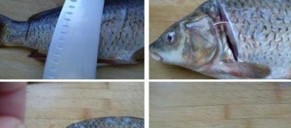 How to get rid of the earthy smell of carp? How to remove the earthy smell from carp