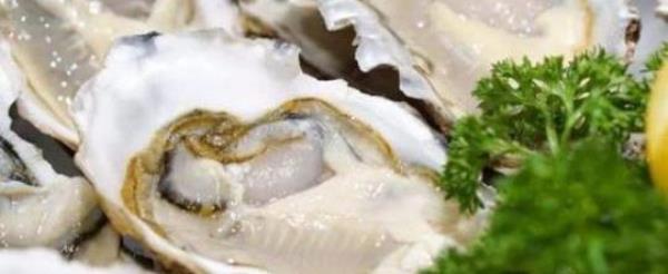 Can oysters be eaten raw? What kind of oysters can be eaten raw?