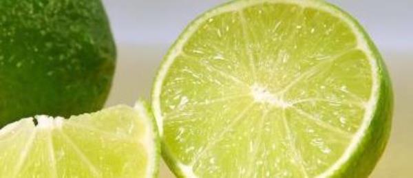 How to make lemon delicious? A complete list of lemon recipes