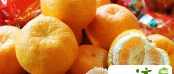 Is it okay for pregnant women to eat tangerines?
