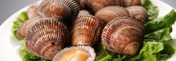 What is a bird shell? How to make clams