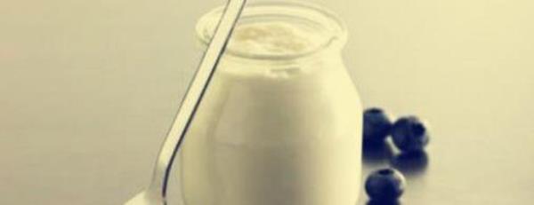 Teach you how to make your own nutritious lactobacillus milk