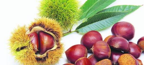 How to peel chestnuts? How to eat chestnuts